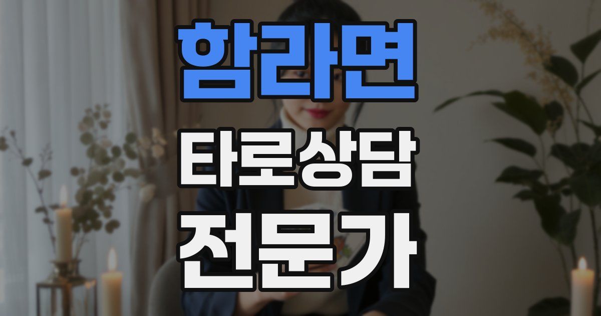 함라면 타로상담전문가 자격증