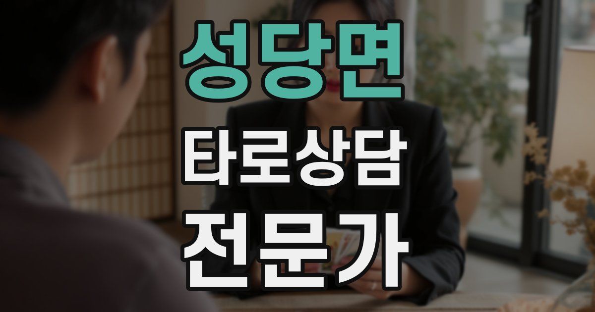 성당면 타로상담전문가 자격증