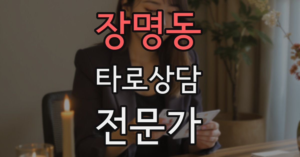 장명동 타로상담전문가 자격증