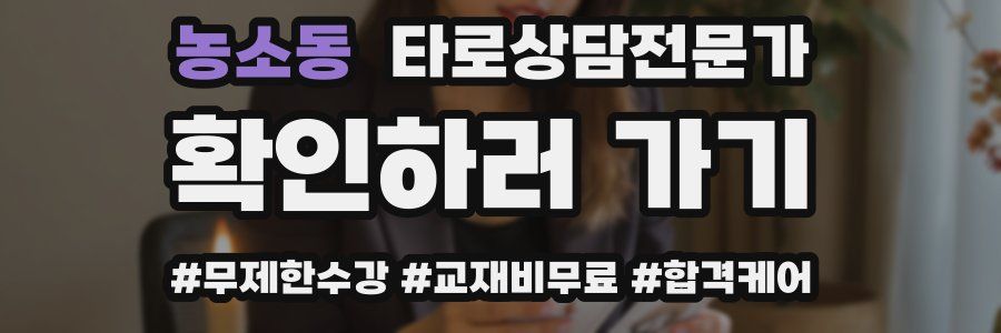 농소동 타로상담전문가 자격증