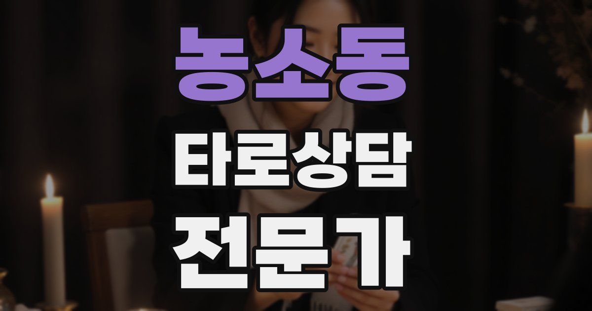 농소동 타로상담전문가 자격증