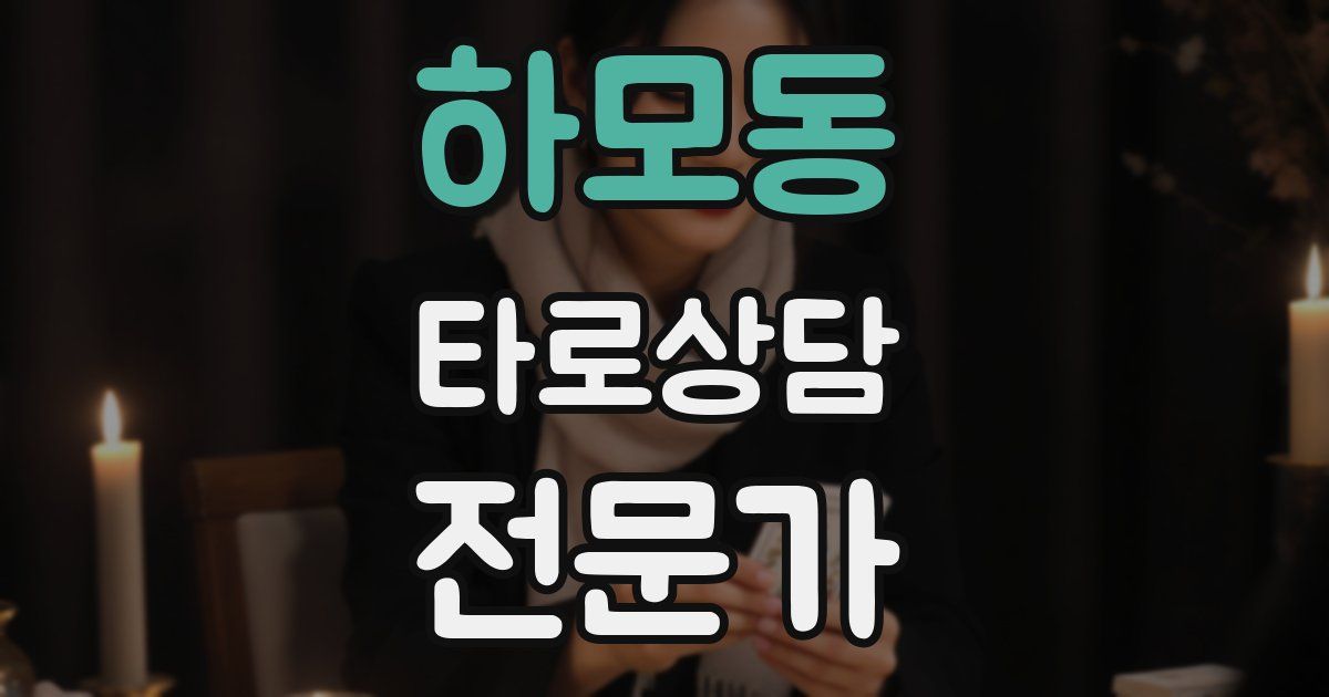 하모동 타로상담전문가 자격증