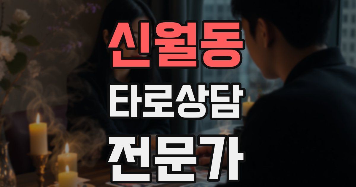 신월동 타로상담전문가 자격증