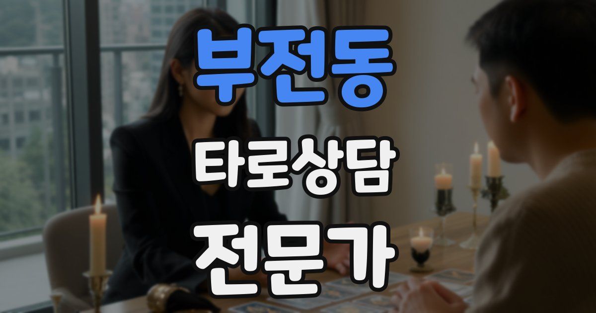 부전동 타로상담전문가 자격증