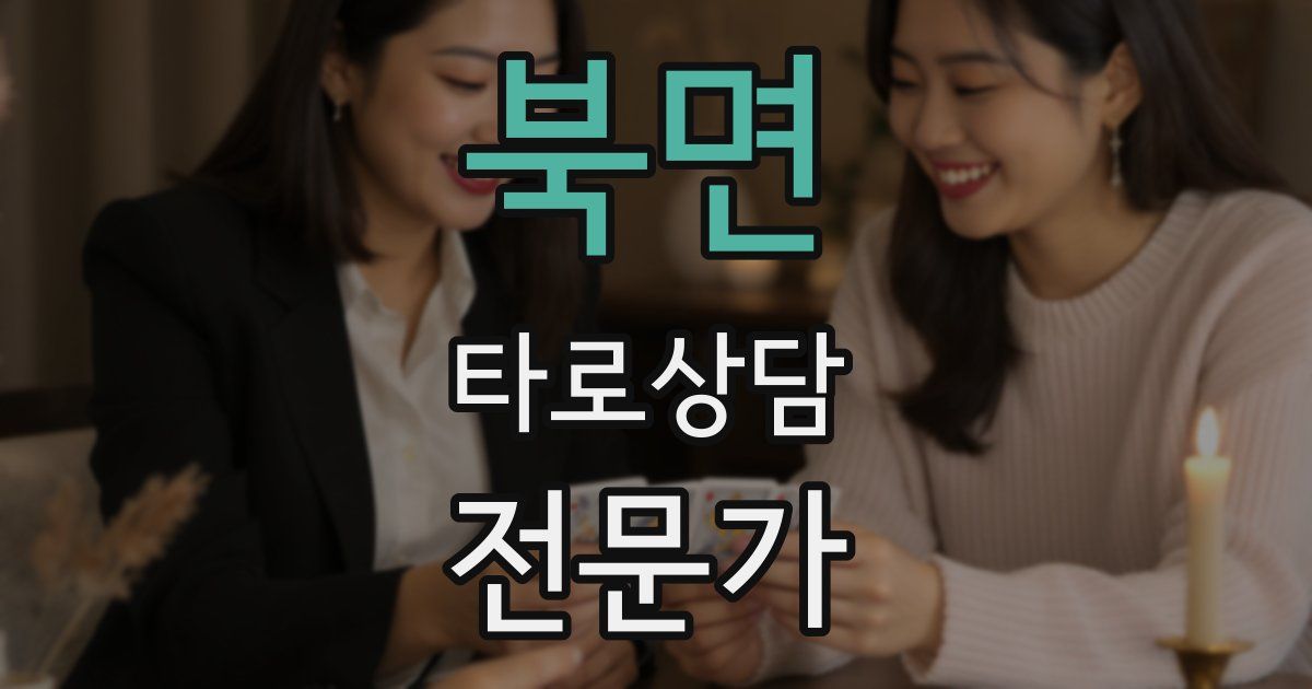 북면 타로상담전문가 자격증