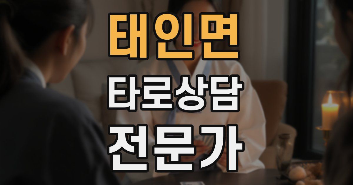 태인면 타로상담전문가 자격증