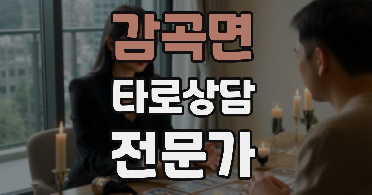 감곡면 타로상담전문가 자격증