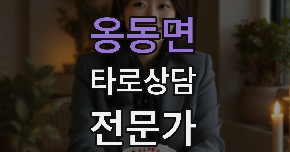 옹동면 타로상담전문가 자격증