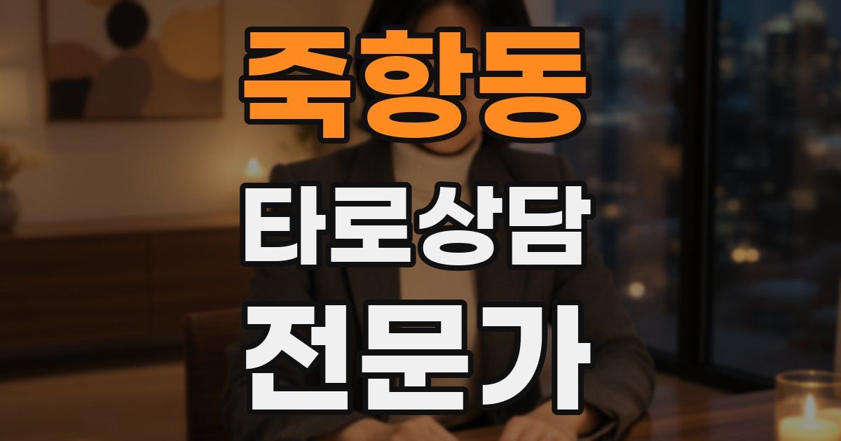 죽항동 타로상담전문가 자격증