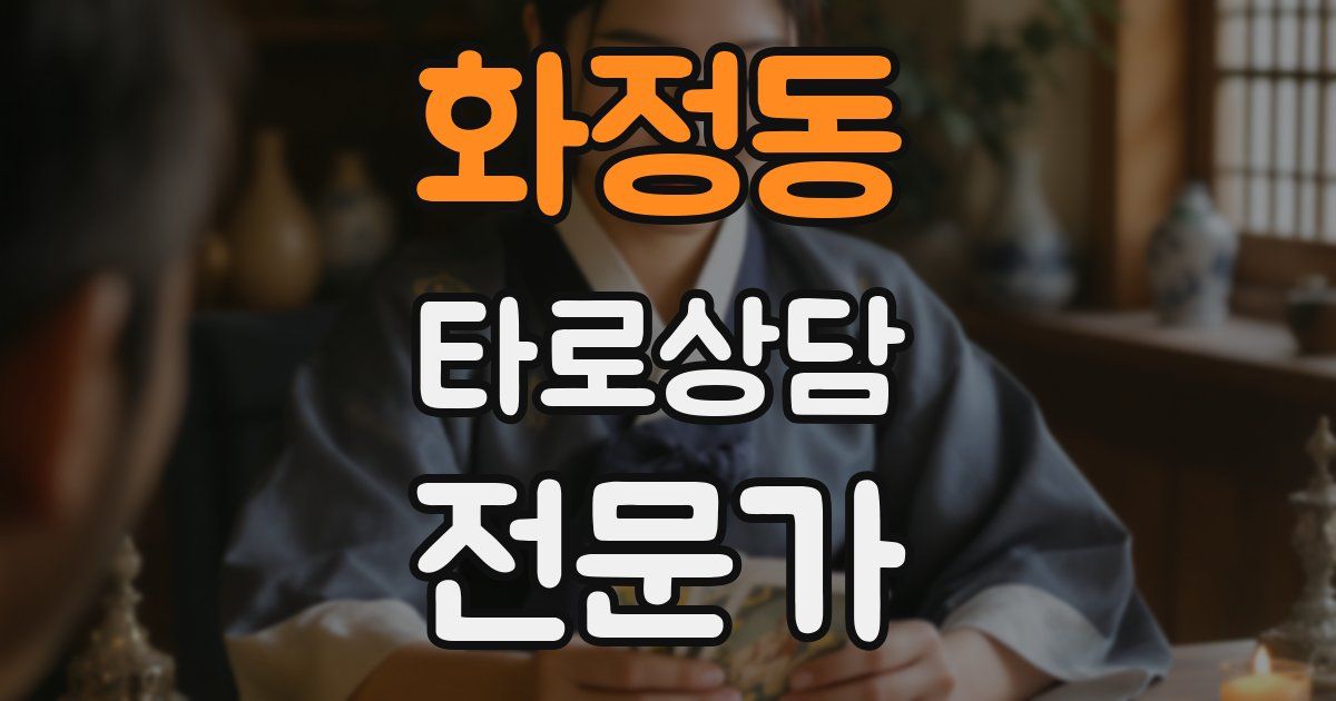 화정동 타로상담전문가 자격증