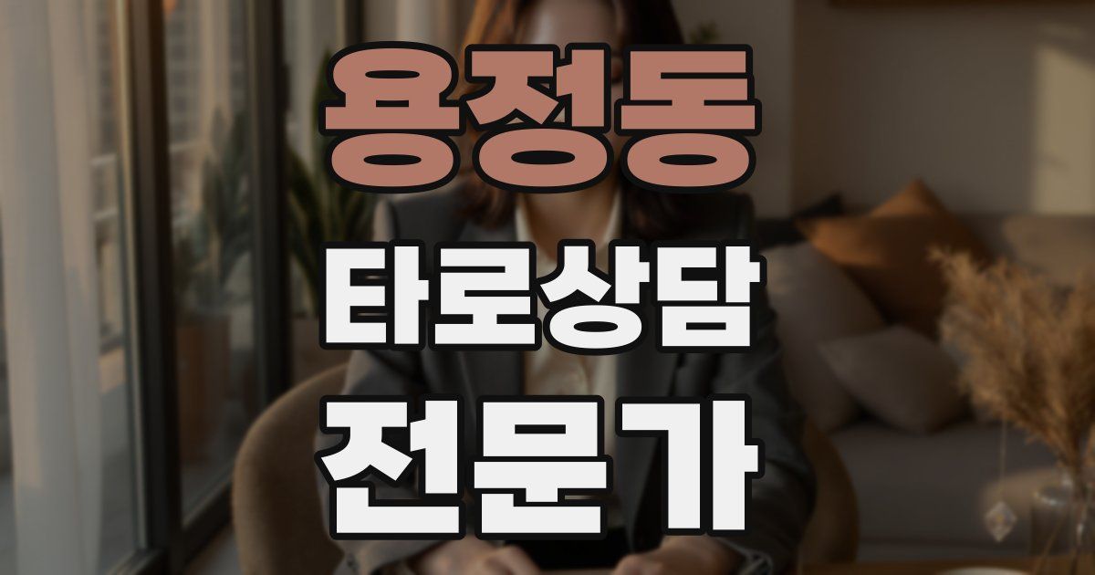 용정동 타로상담전문가 자격증