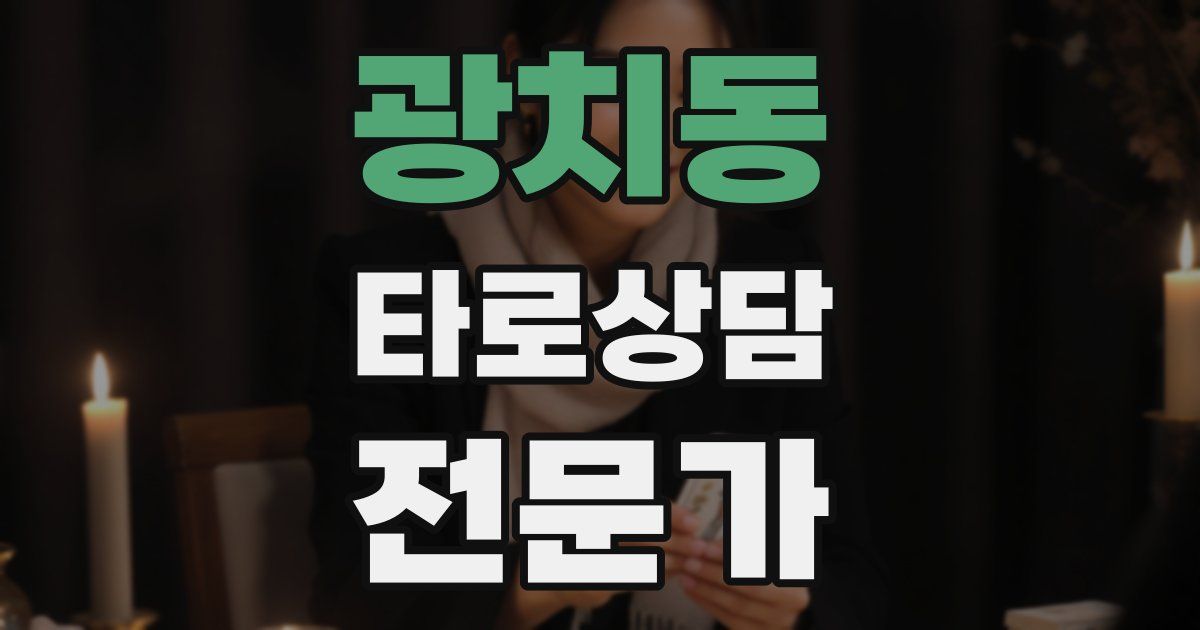 광치동 타로상담전문가 자격증