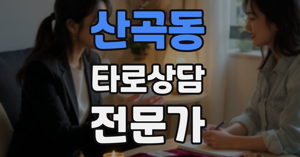 산곡동 타로상담전문가 자격증