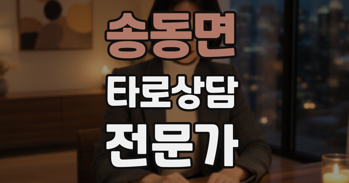 송동면 타로상담전문가 자격증