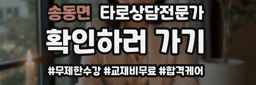 송동면 타로상담전문가 자격증