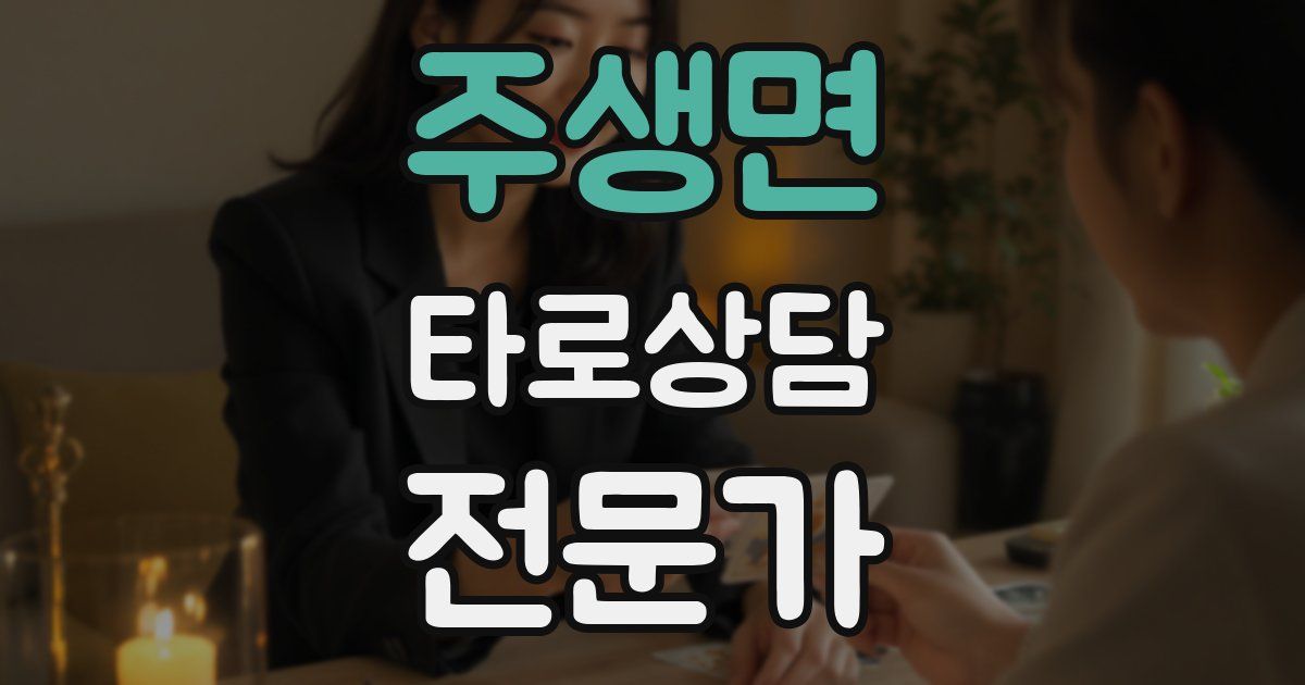 주생면 타로상담전문가 자격증
