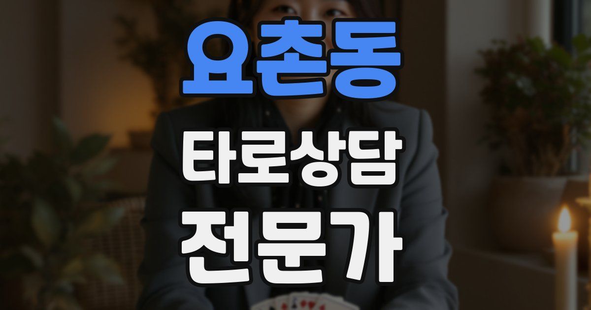 요촌동 타로상담전문가 자격증