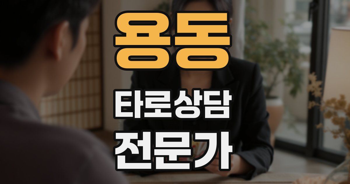 용동 타로상담전문가 자격증