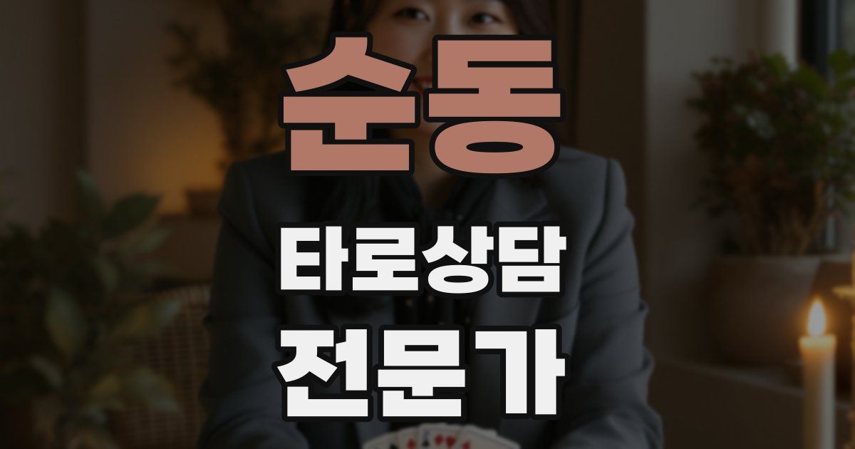 순동 타로상담전문가 자격증