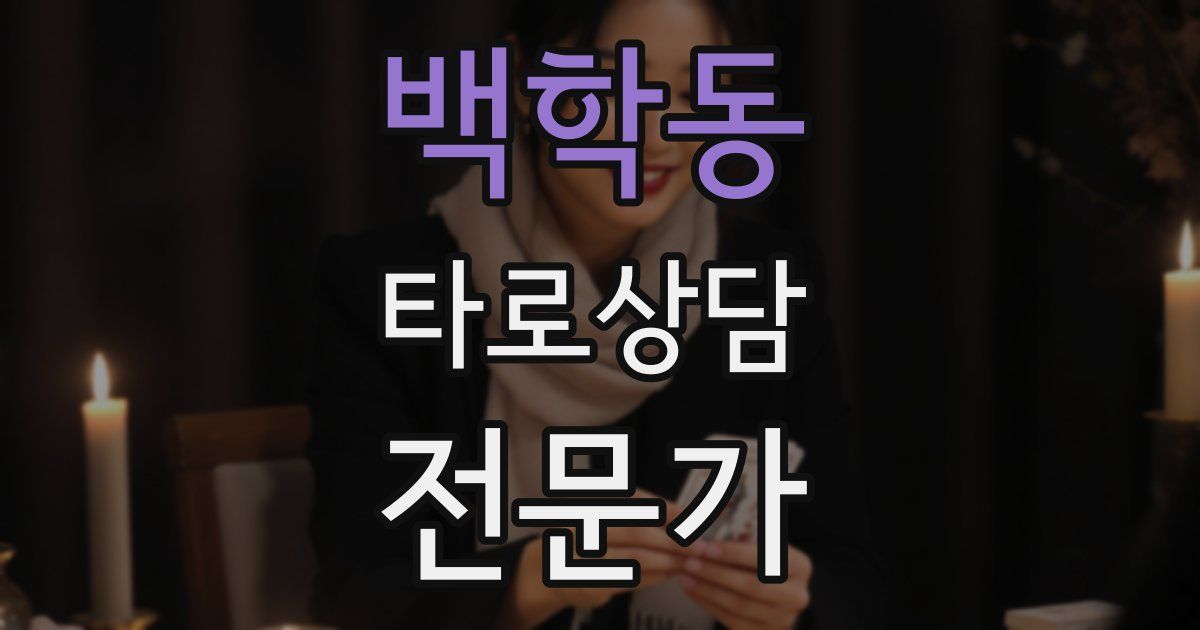 백학동 타로상담전문가 자격증