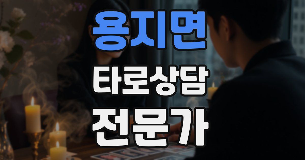 용지면 타로상담전문가 자격증