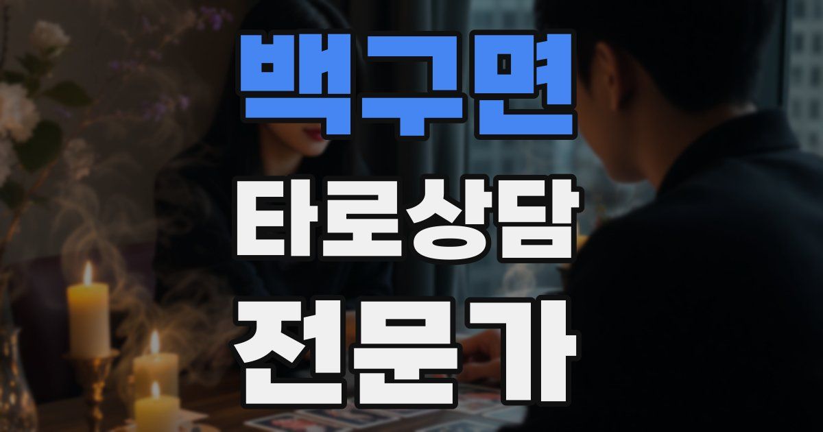 백구면 타로상담전문가 자격증