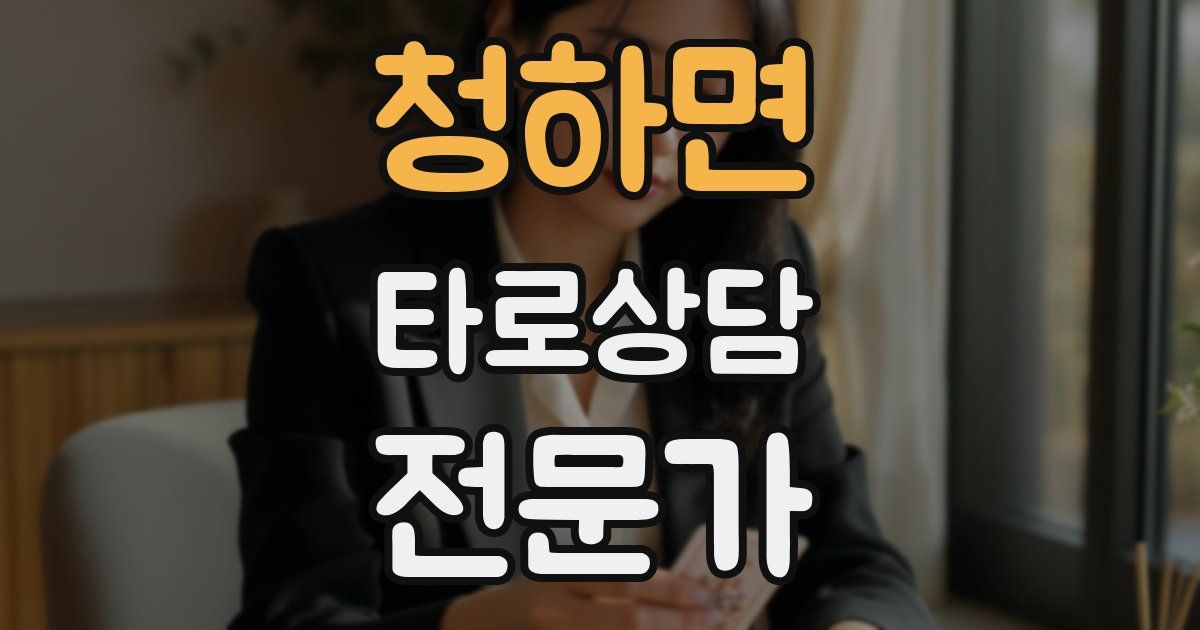 청하면 타로상담전문가 자격증