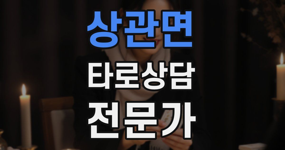 상관면 타로상담전문가 자격증