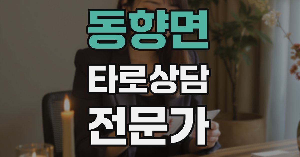 동향면 타로상담전문가 자격증