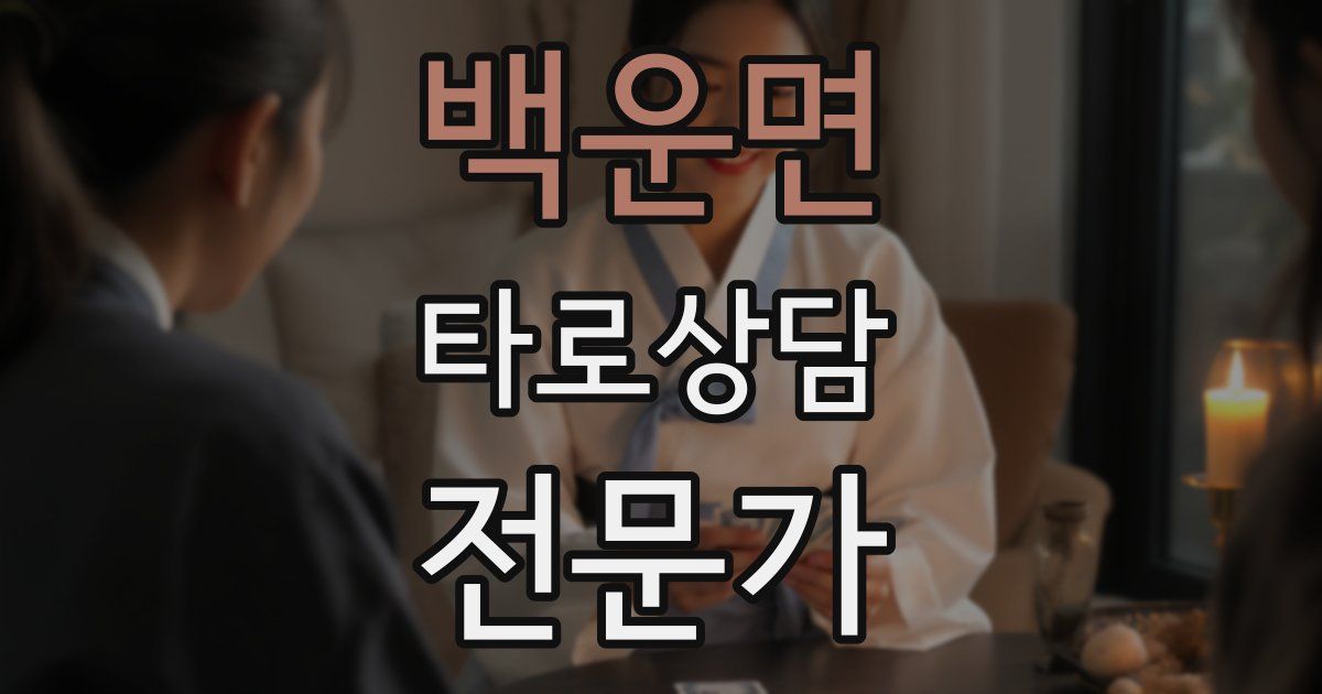 백운면 타로상담전문가 자격증