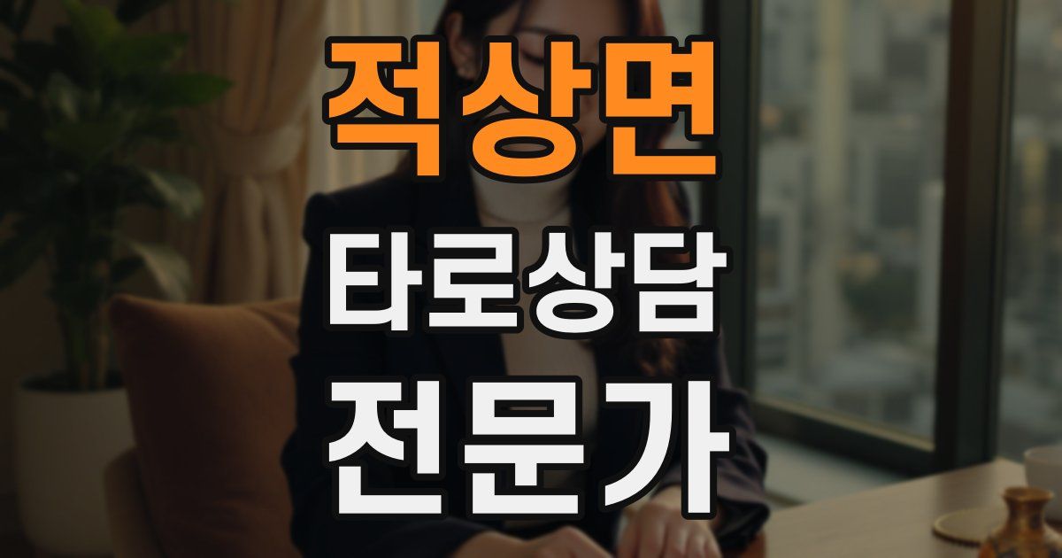 적상면 타로상담전문가 자격증