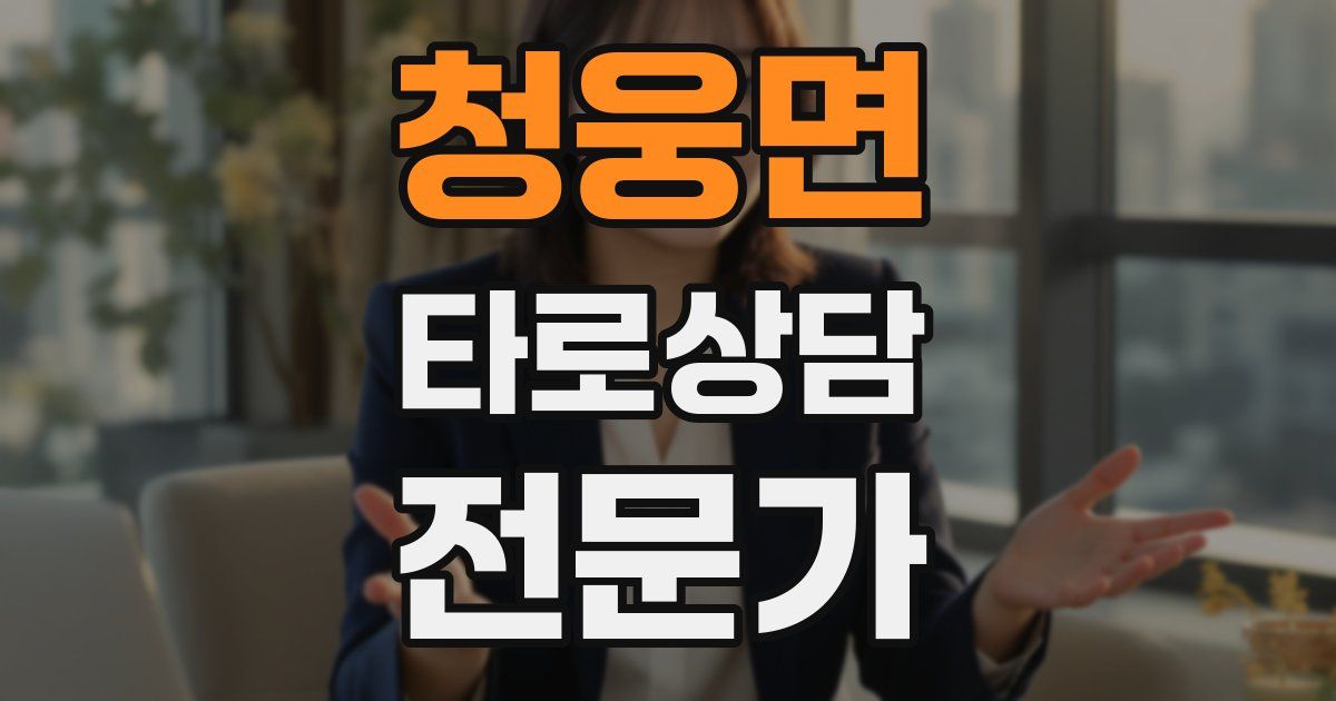 청웅면 타로상담전문가 자격증