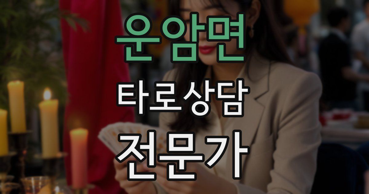 운암면 타로상담전문가 자격증