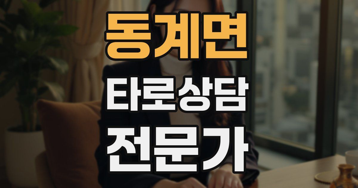 동계면 타로상담전문가 자격증