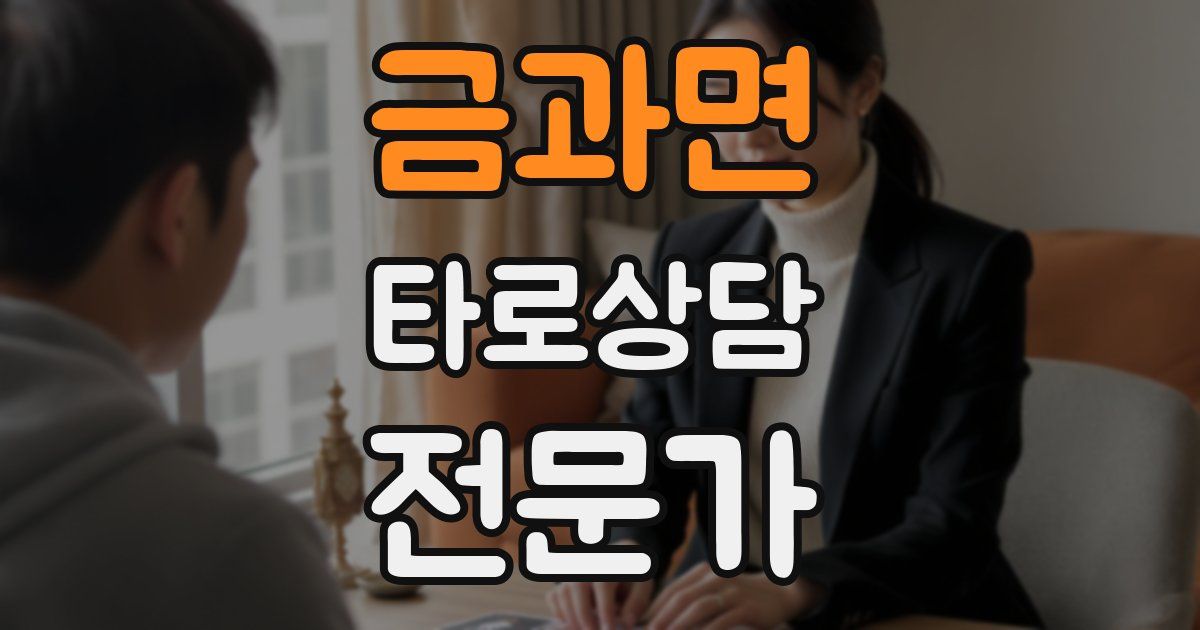 금과면 타로상담전문가 자격증