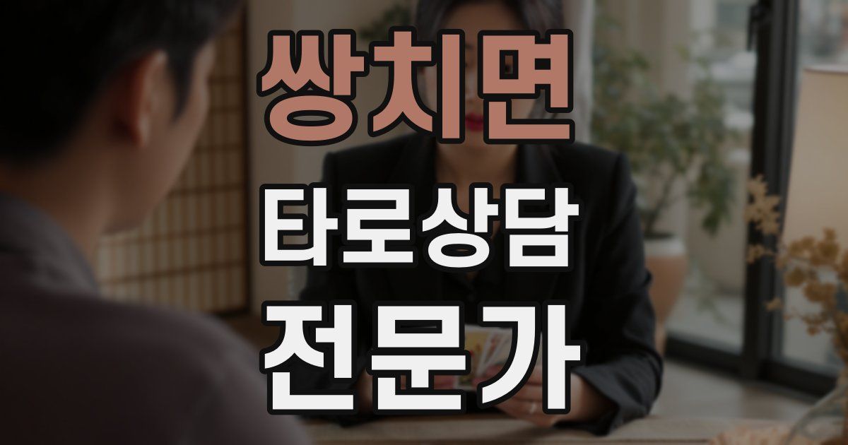 쌍치면 타로상담전문가 자격증