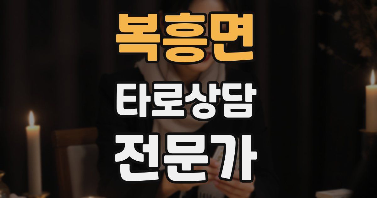 복흥면 타로상담전문가 자격증