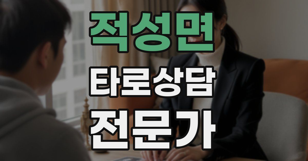 적성면 타로상담전문가 자격증