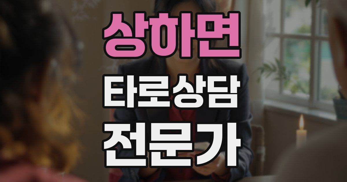 상하면 타로상담전문가 자격증