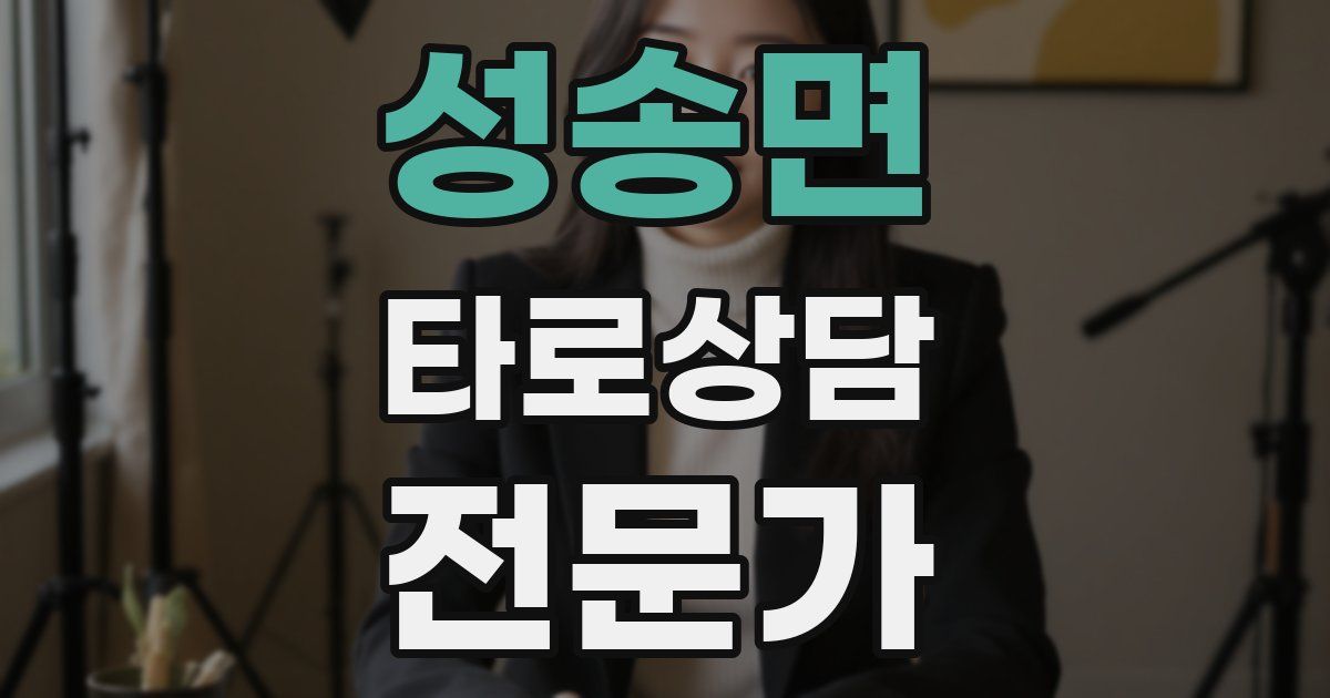 성송면 타로상담전문가 자격증