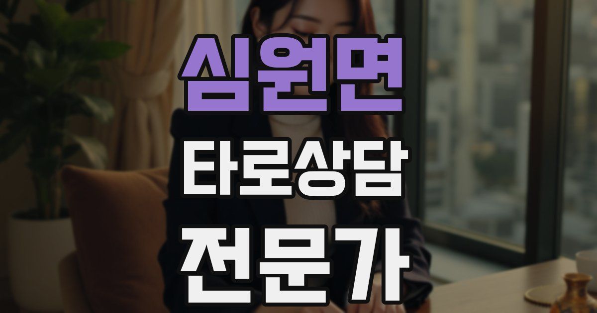 심원면 타로상담전문가 자격증