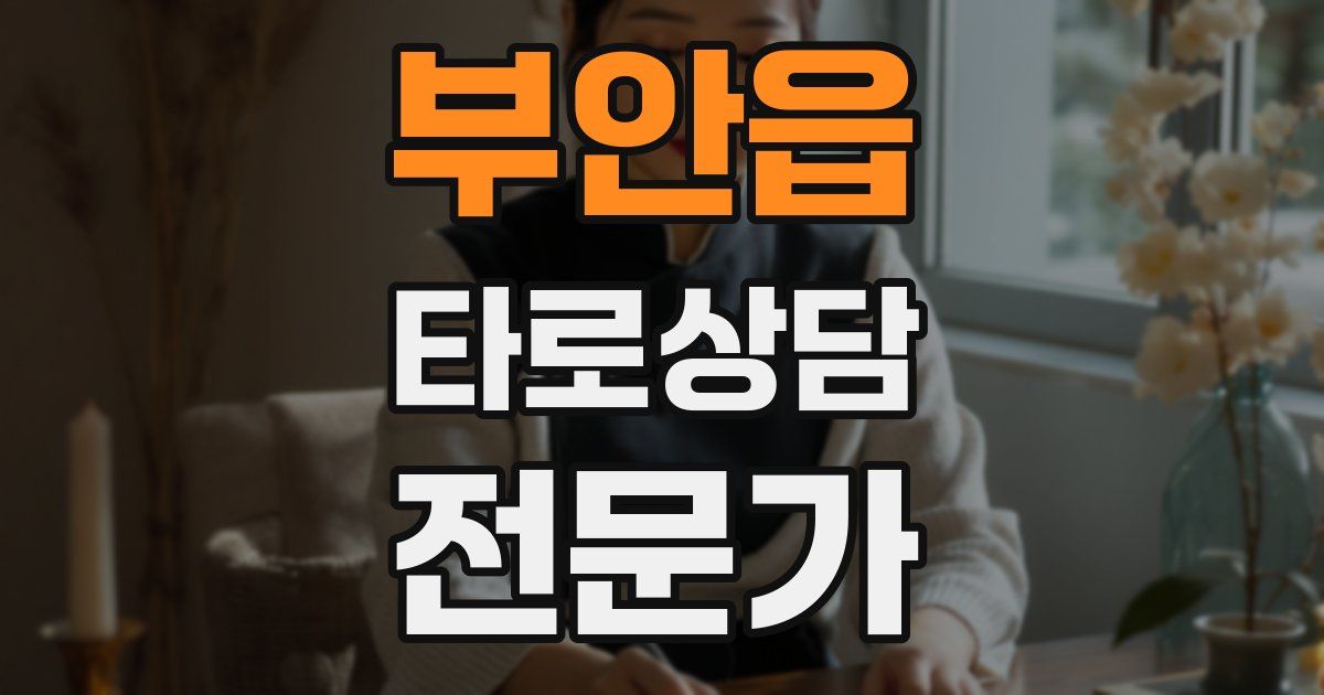 부안읍 타로상담전문가 자격증