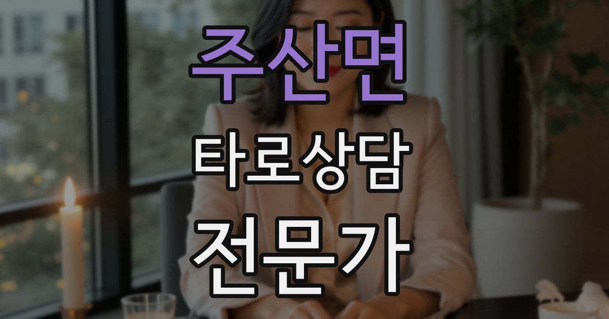 주산면 타로상담전문가 자격증