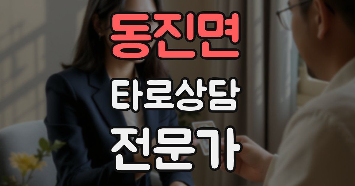 동진면 타로상담전문가 자격증