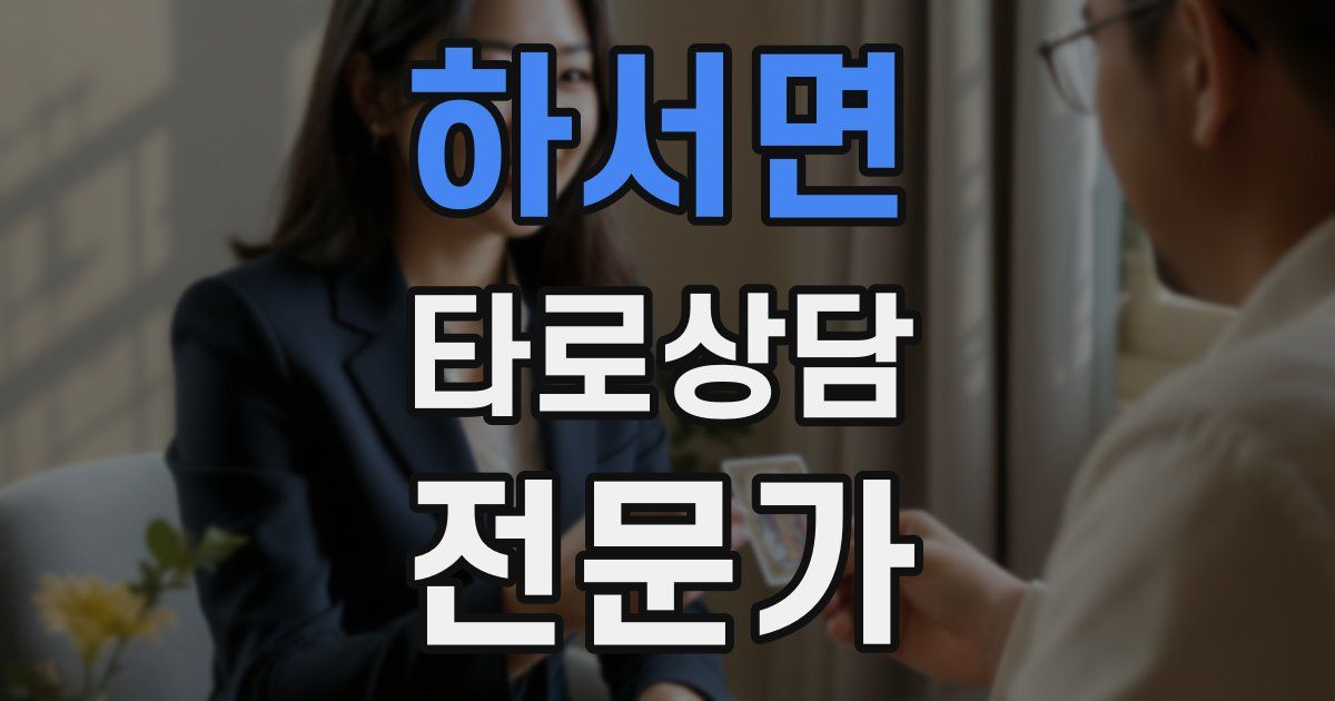하서면 타로상담전문가 자격증