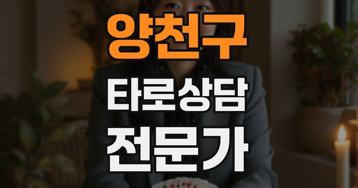 양천구 타로상담전문가 자격증