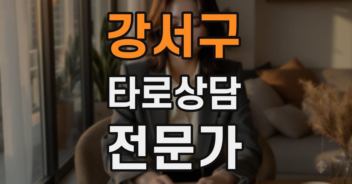 강서구 타로상담전문가 자격증