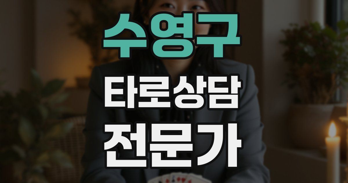 수영구 타로상담전문가 자격증