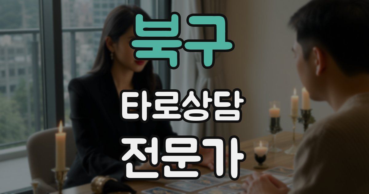북구 타로상담전문가 자격증