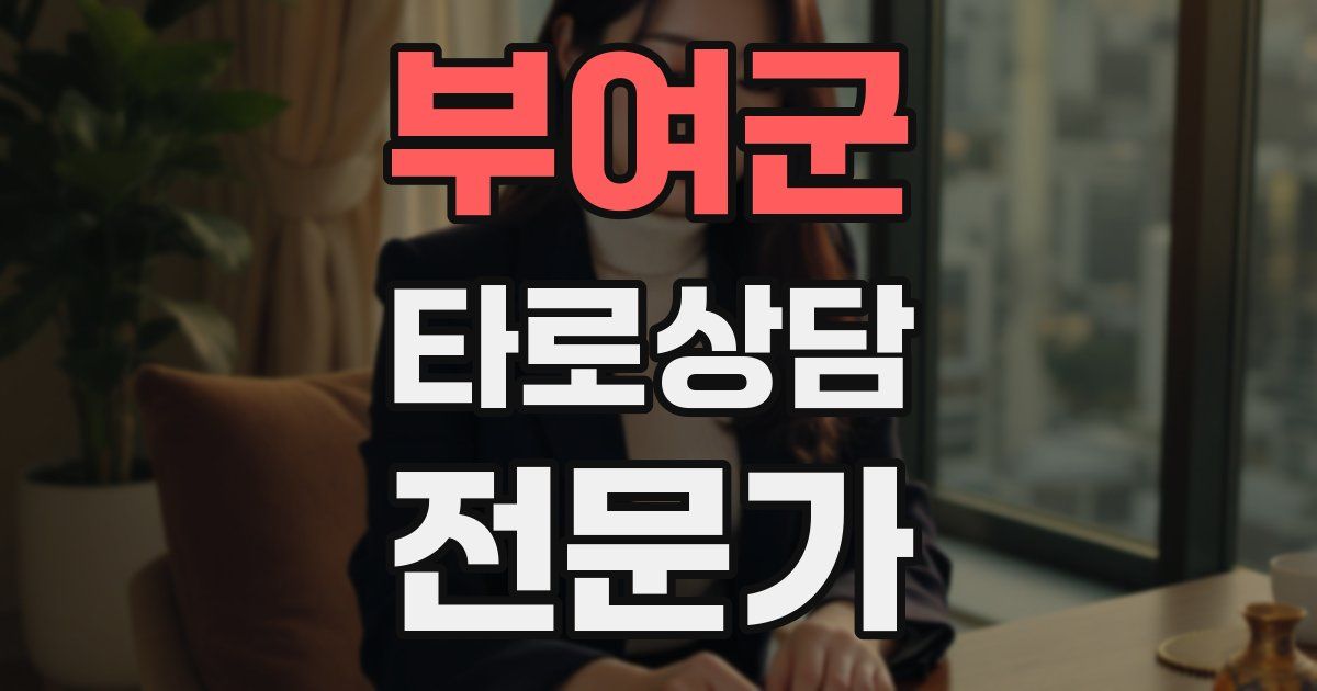 부여군 타로상담전문가 자격증